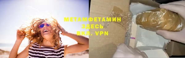 PSILOCYBIN Дмитриев