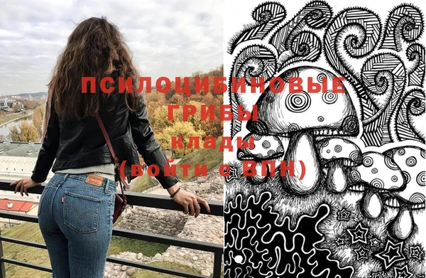 соль курить ск Дмитровск