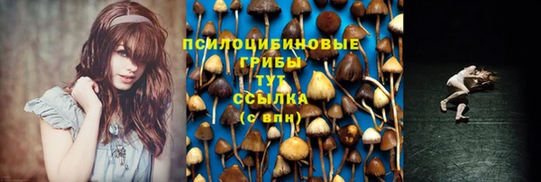 соль курить ск Дмитровск