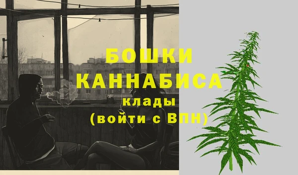 PSILOCYBIN Дмитриев