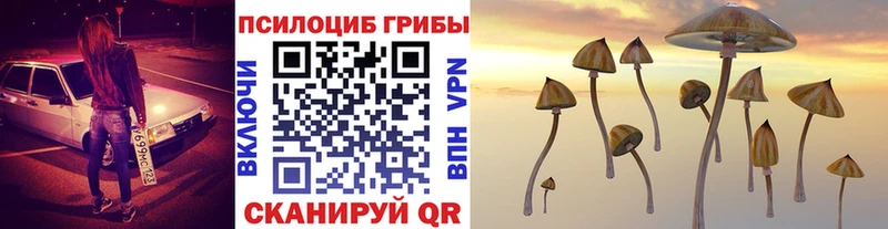 Купить закладки Углич Галлюциногенные грибы Psilocybe